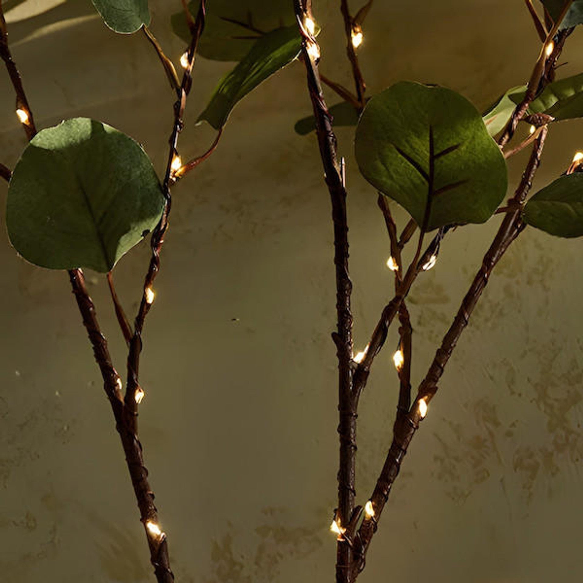 Branche LED Ambiance pour une Note Magique - GlowBranch