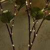 Branche LED Ambiance pour une Note Magique - GlowBranch