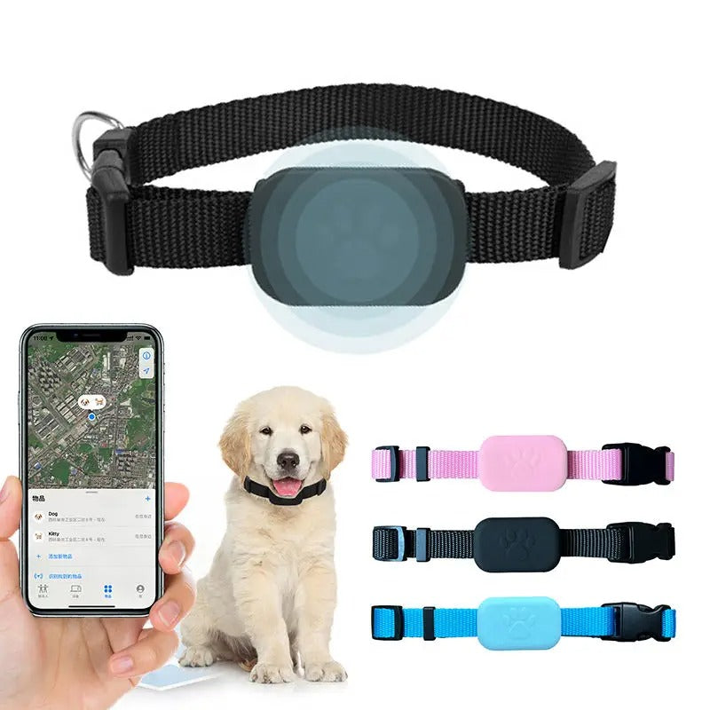 Traceur GPS pour Animaux de Compagnie - Collier Fiable