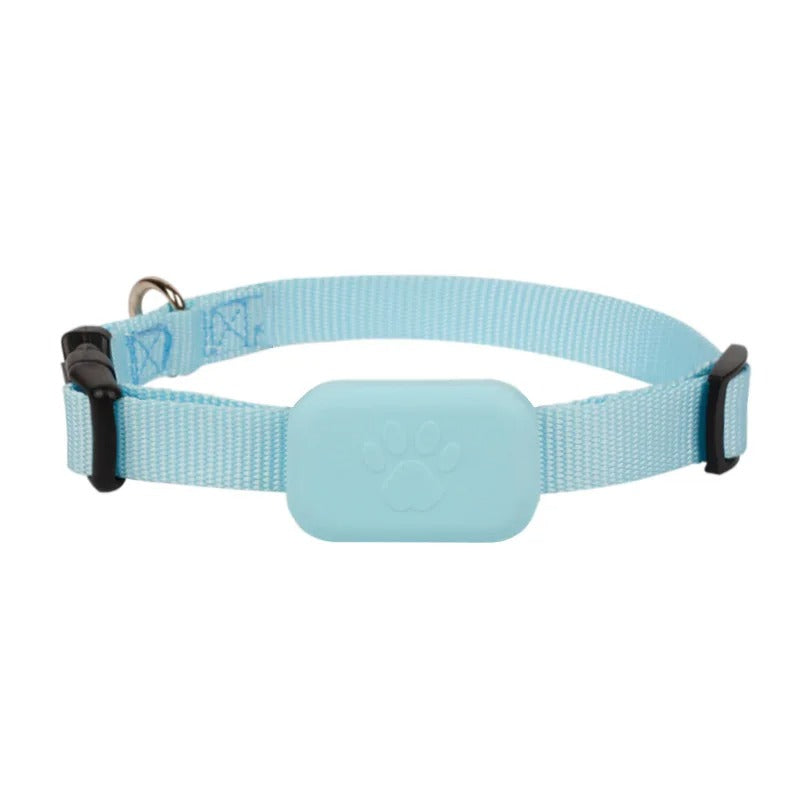 Traceur GPS pour Animaux de Compagnie - Collier Fiable