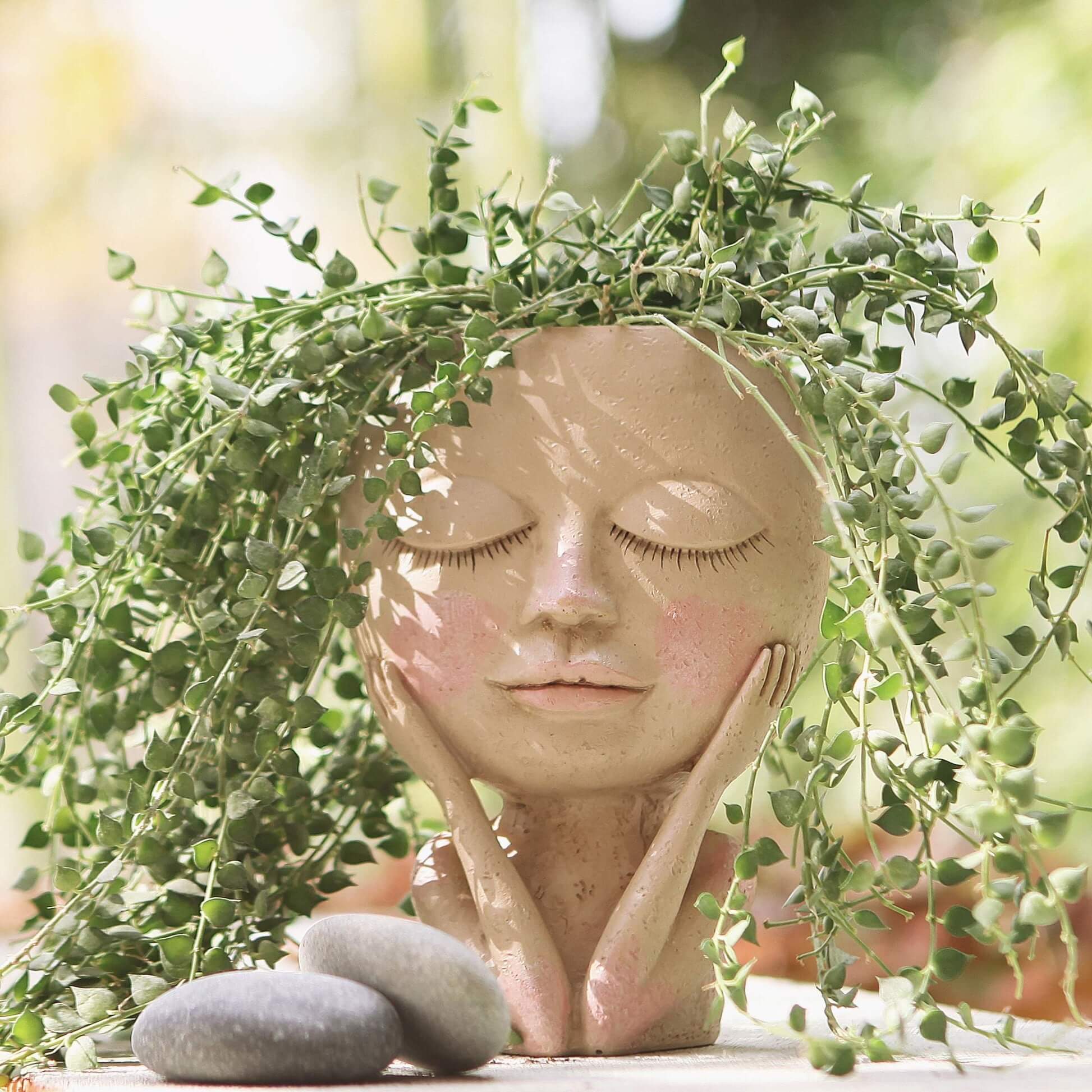 Botanique Bliss | Succulente enchanteresse de caractèr