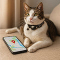 Collier pour chat avec GPS & Cloche | MiauTrack
