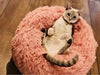 PurrElegance Luxe Donut Lit pour Chats et Chiens | Un endroit doux et élégant pour le repos de vos animaux