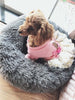PurrElegance Luxe Donut Lit pour Chats et Chiens | Un endroit doux et élégant pour le repos de vos animaux