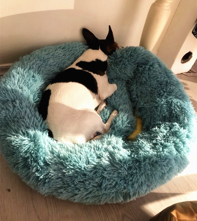 PurrElegance Luxe Donut Lit pour Chats et Chiens | Un endroit doux et élégant pour le repos de vos animaux