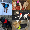 PawPrestige Luxe Veste Imperméable pour Chiens | Protection et confort ultimes par tous les temps