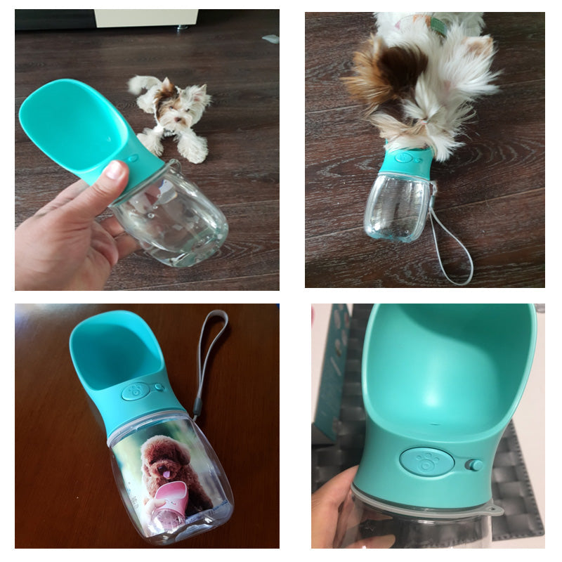 Bouteille d'eau pour chien en déplacement - HydroDog