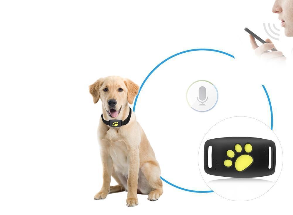 PurrLux Elite GPS Tracker for Pets | Système de suivi de luxe avec mises à jour en temps réel et garantie de sécurité