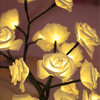 LuxeFlora Élégante Lampe Rose | Lampe raffinée pour une ambiance chaleureuse
