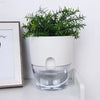 Cache-pot auto-arrosant – AquaBloom