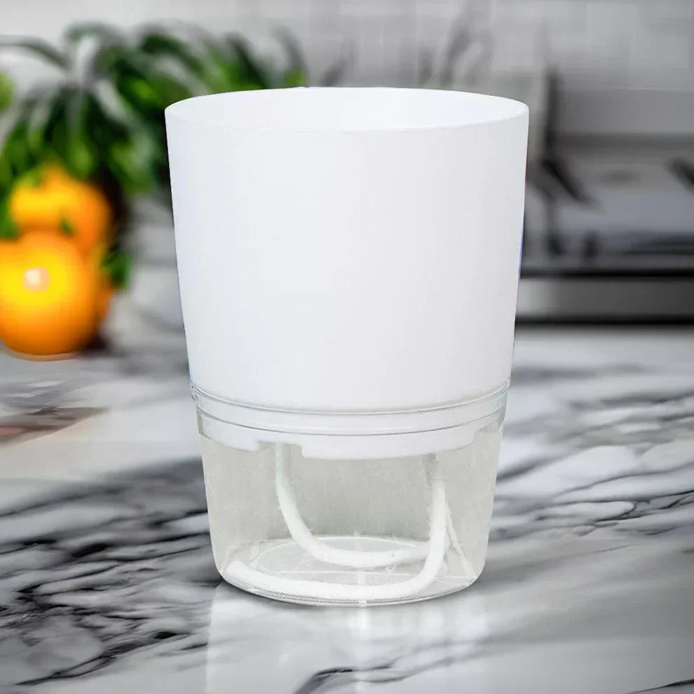 Cache-pot auto-arrosant – AquaBloom