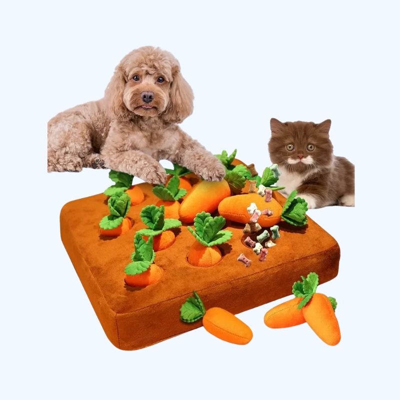 Tapis de Fouille avec Carottes - Jouet pour Animaux de Compagnie