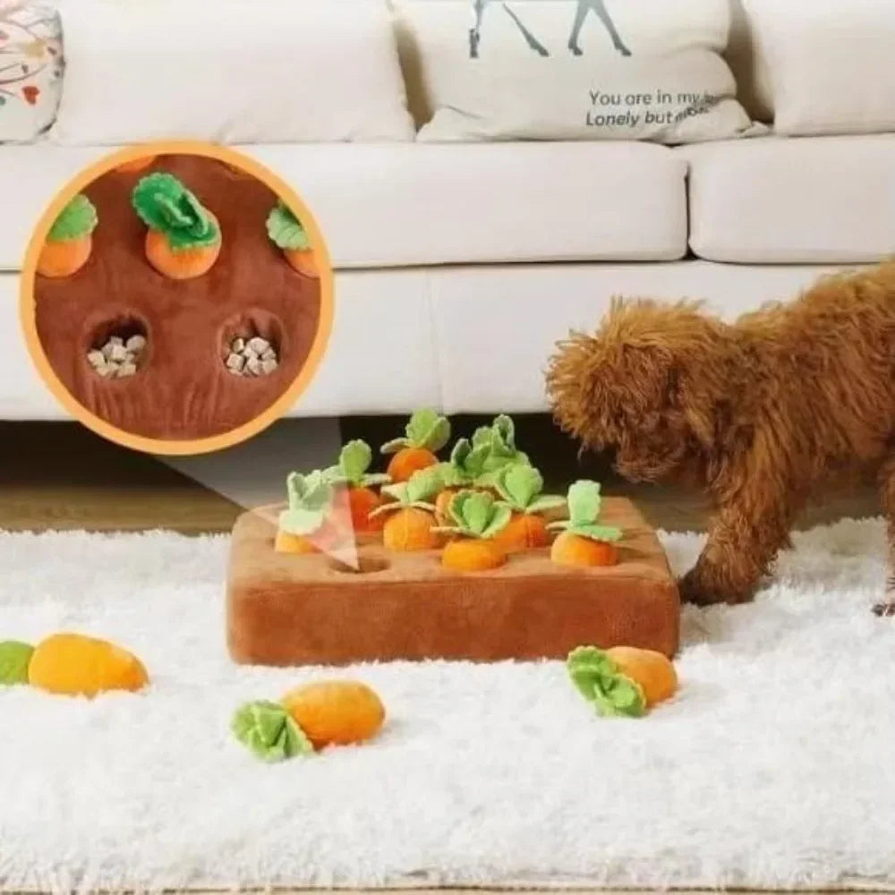 Tapis de Fouille avec Carottes - Jouet pour Animaux de Compagnie