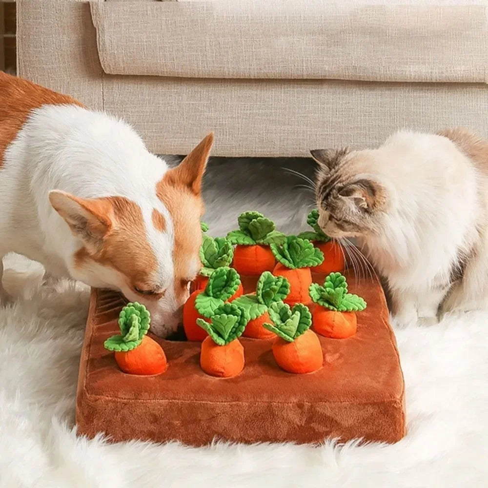 Tapis de Fouille avec Carottes - Jouet pour Animaux de Compagnie
