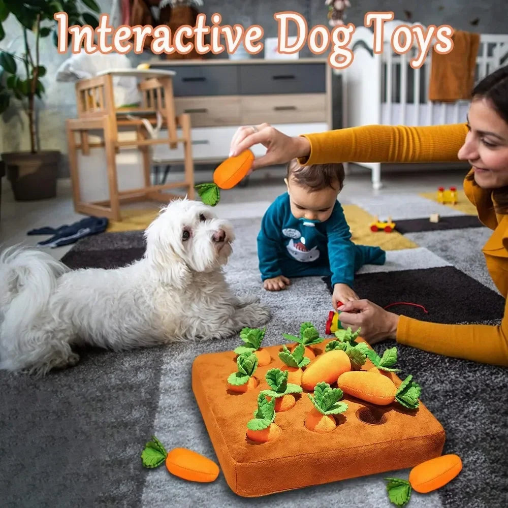 Tapis de Fouille avec Carottes - Jouet pour Animaux de Compagnie
