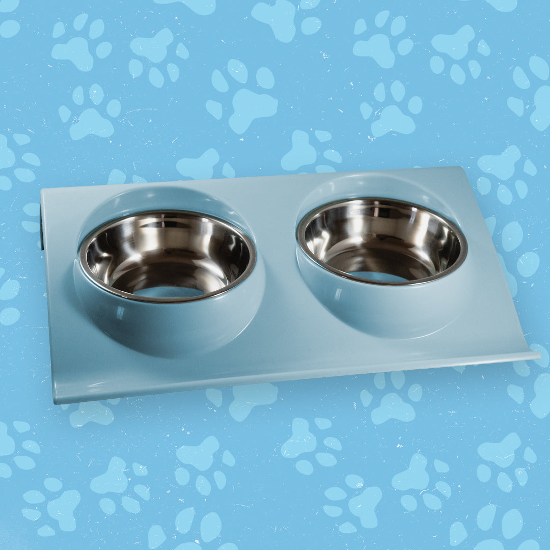 Station d'alimentation pour animaux domestiques | Des matériaux sûrs et durables pour une alimentation saine.