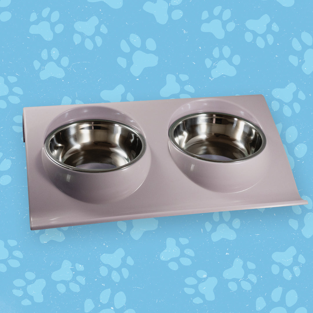 Station d'alimentation pour animaux domestiques | Des matériaux sûrs et durables pour une alimentation saine.