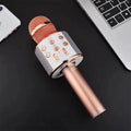 Chantez partout : le microphone karaoké sans fil ultime !