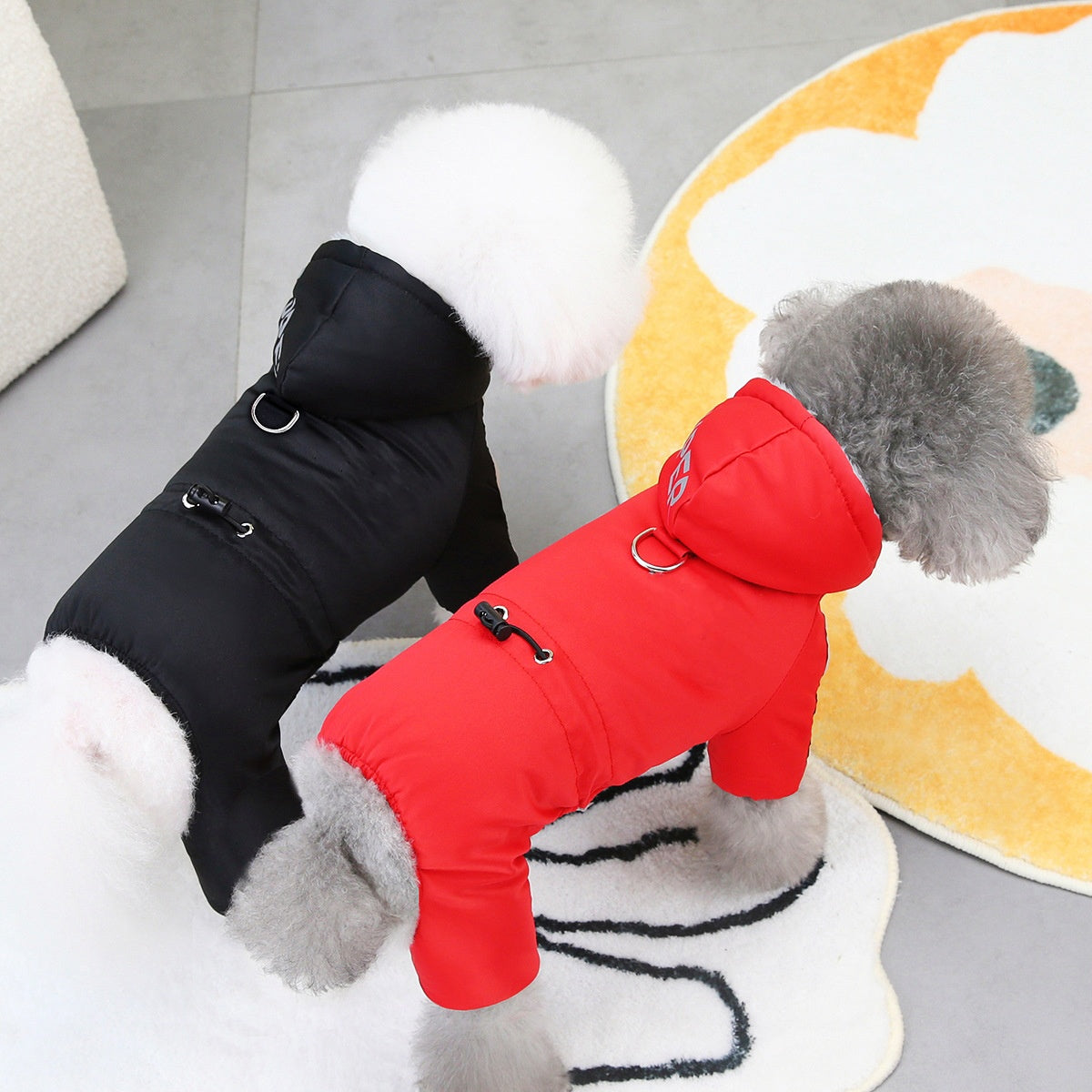 PawsCoat | Style, chaleur et sécurité en un seul manteau d'hiver pour votre chien