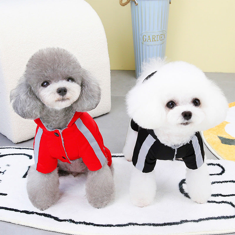 PawsCoat | Style, chaleur et sécurité en un seul manteau d'hiver pour votre chien