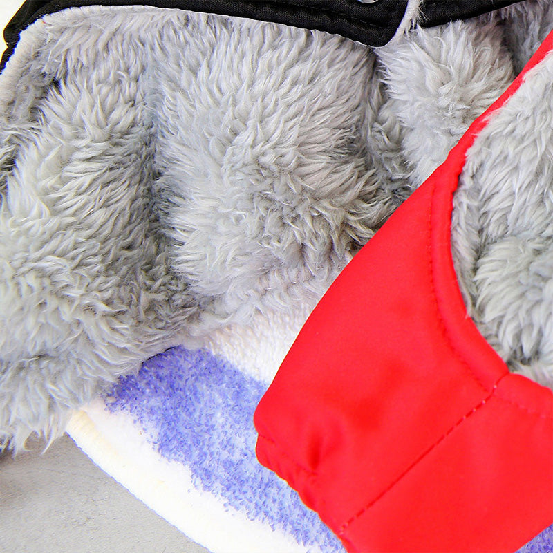 PawsCoat | Style, chaleur et sécurité en un seul manteau d'hiver pour votre chien