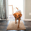 Tapis pour chien super absorbant – PawMat