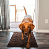 Tapis pour chien super absorbant – PawMat