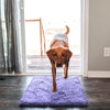 Tapis pour chien super absorbant – PawMat