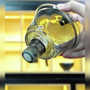 ElysianTea Luxe Ensemble de Théière | Théière exclusive avec goutteur magnétique et infuseur pour une expérience de thé sublime