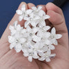 Accessoire de cheveux Trachten Gisela