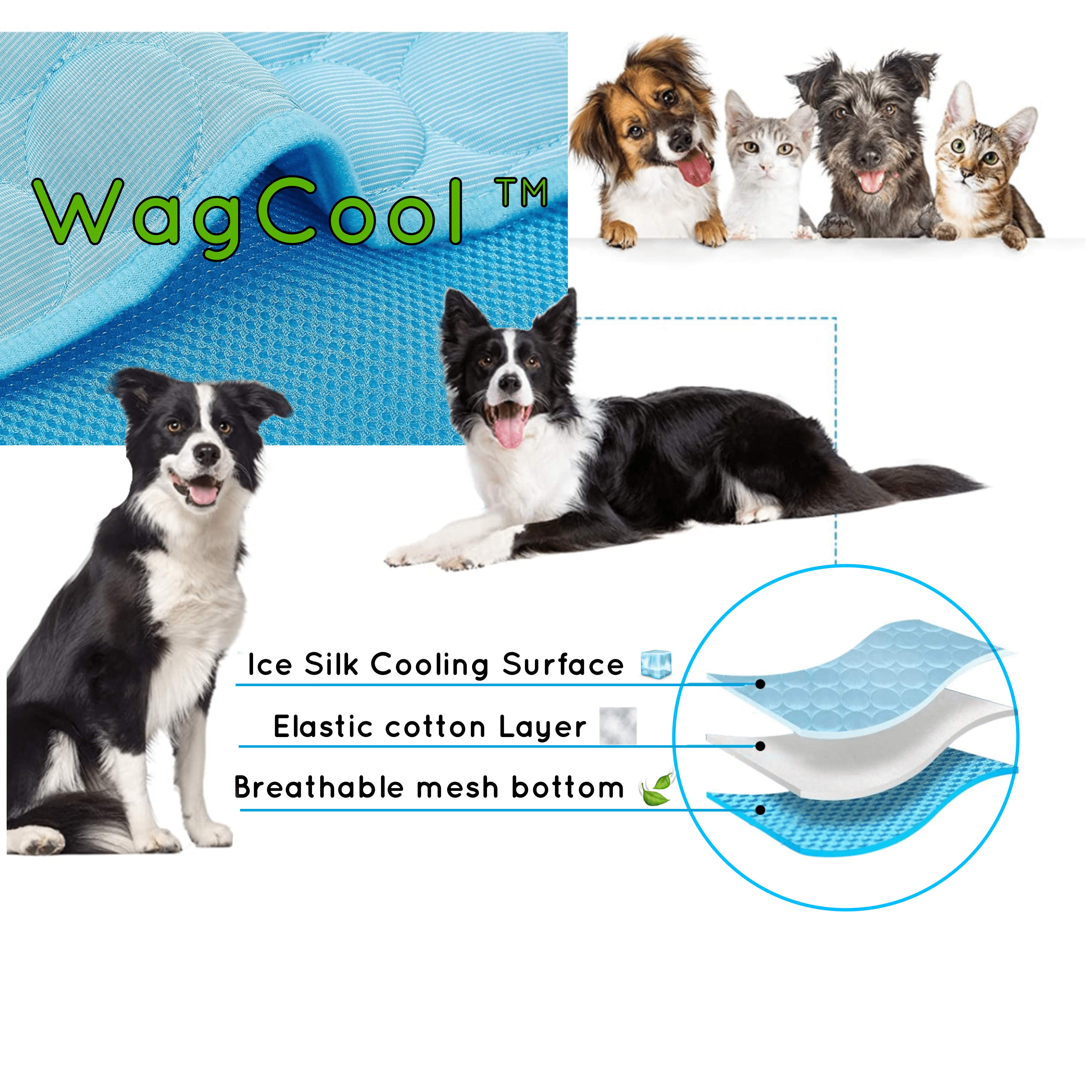 Tapis rafraîchissant pour chien - Tapis CoolPet