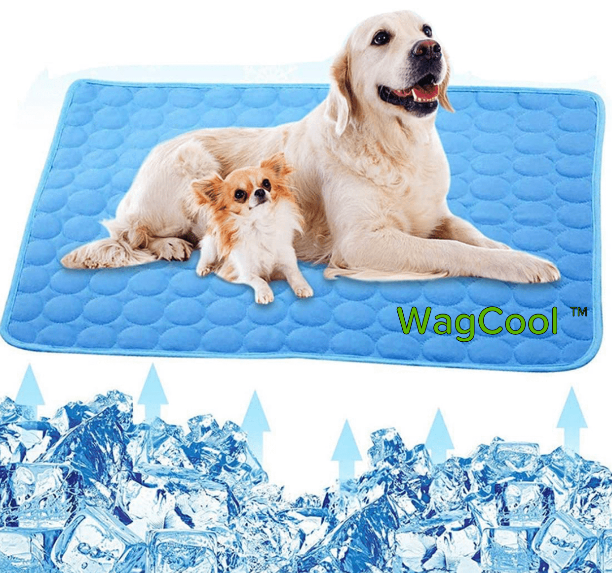 Tapis rafraîchissant pour chien - Tapis CoolPet