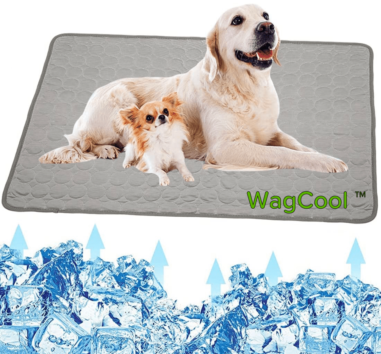 Tapis rafraîchissant pour chien - Tapis CoolPet