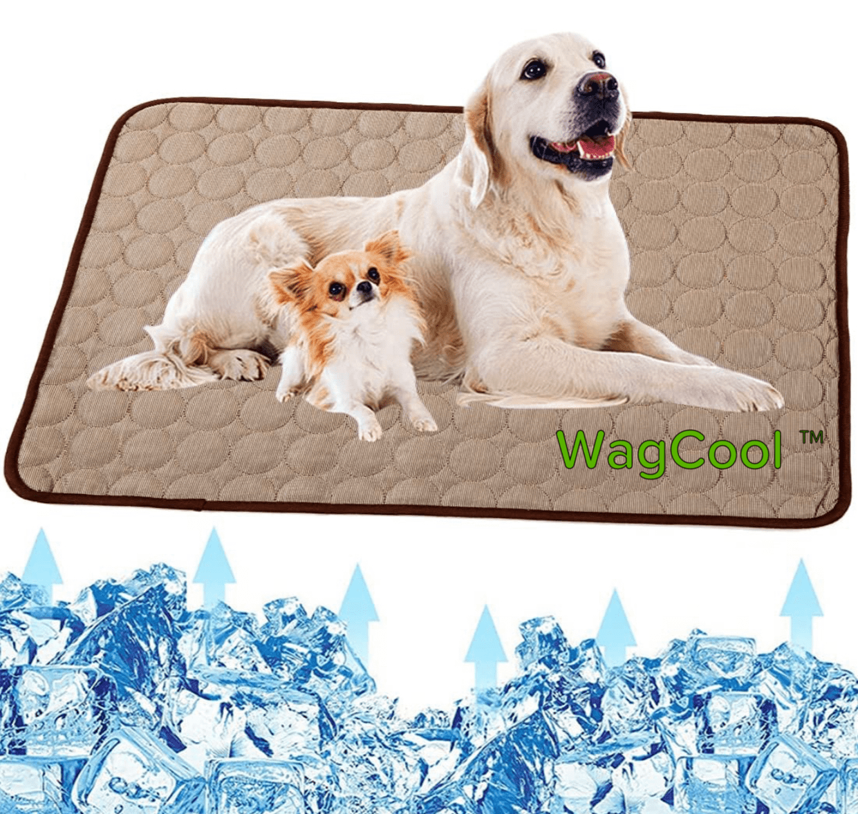 Tapis rafraîchissant pour chien - Tapis CoolPet